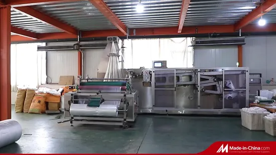 Revêtements de couverture de SPA de baignoire en plastique jetables transparents